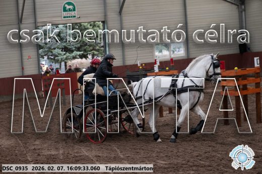 Mintakép 20260207-22