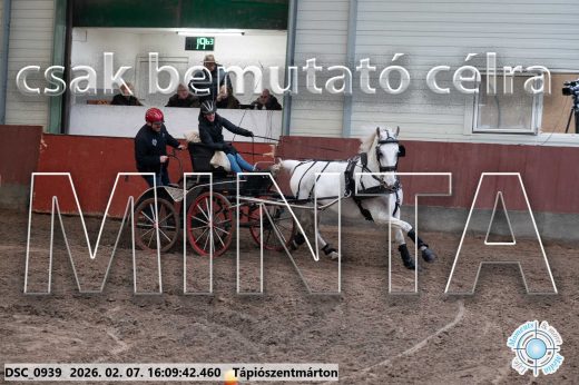 Mintakép 20260207-25