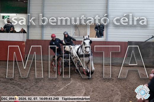 Mintakép 20260207-27