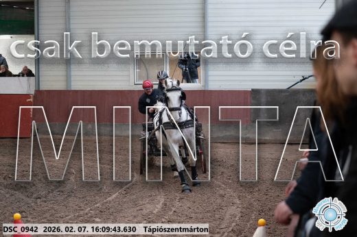 Mintakép 20260207-28