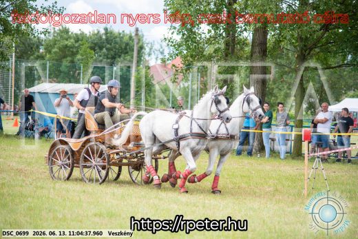 Mintakép 20260613-496