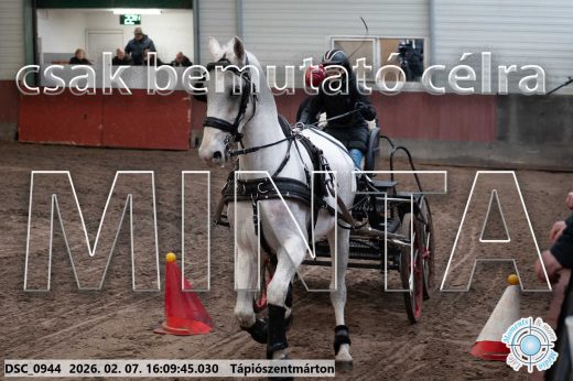 Mintakép 20260207-29