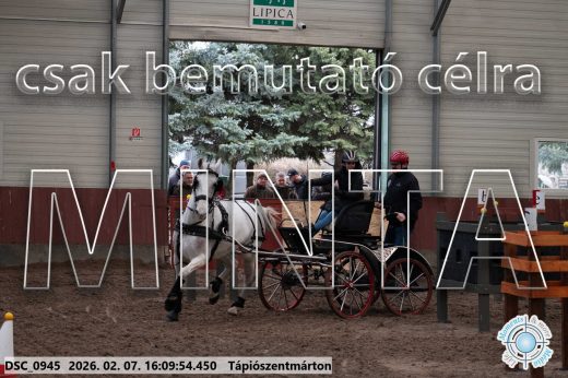 Mintakép 20260207-30