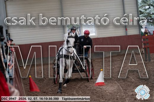Mintakép 20260207-32