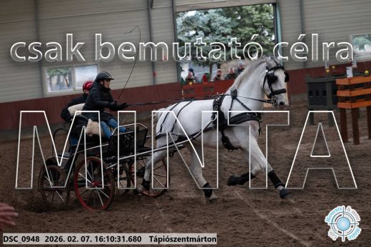 Mintakép 20260207-33