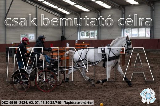 Mintakép 20260207-34