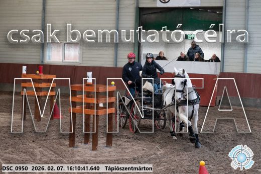 Mintakép 20260207-35