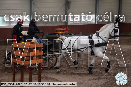 Mintakép 20260207-38
