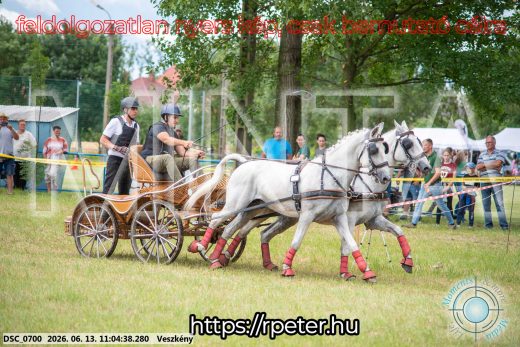Mintakép 20260613-497