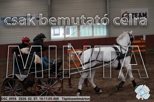 Mintakép 20260207-39