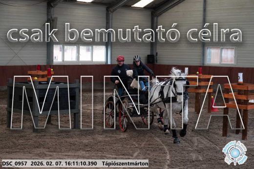 Mintakép 20260207-40