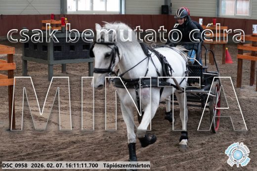 Mintakép 20260207-41