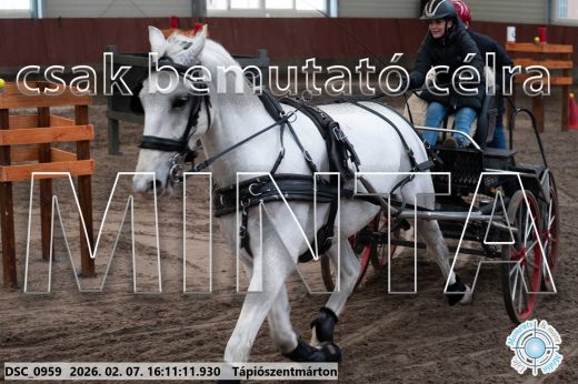 Mintakép 20260207-42