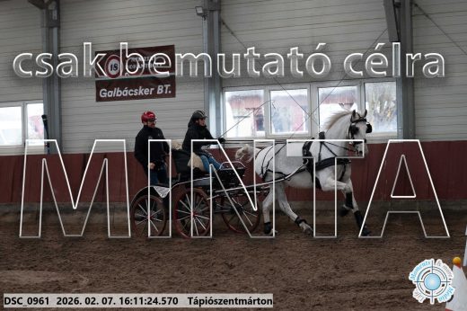 Mintakép 20260207-43