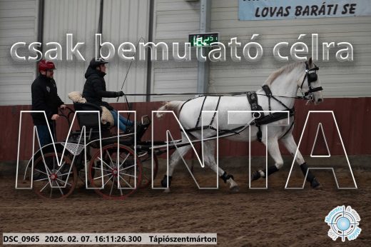 Mintakép 20260207-44