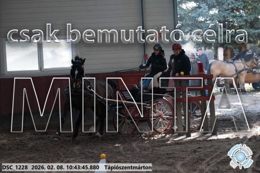 Mintakép 20260208