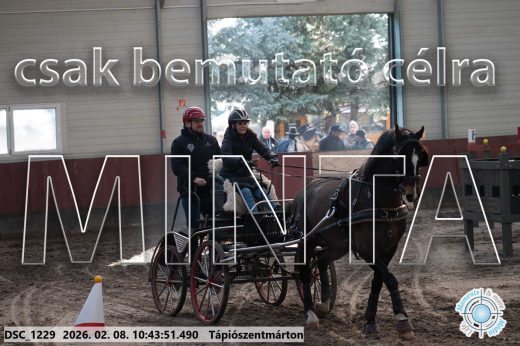 Mintakép 20260208-2