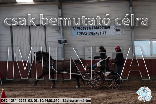 Mintakép 20260208-4