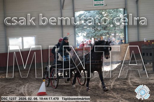 Mintakép 20260208-8