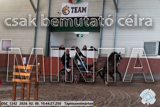 Mintakép 20260208-10
