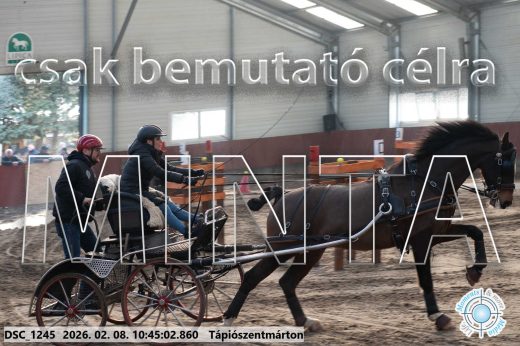 Mintakép 20260208-12