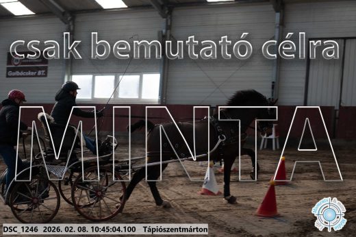 Mintakép 20260208-13