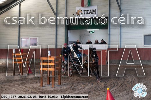 Mintakép 20260208-14