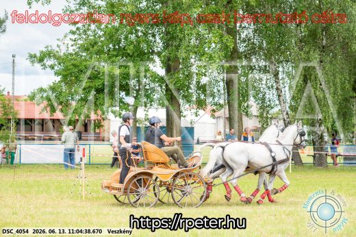 Mintakép 20260613-499