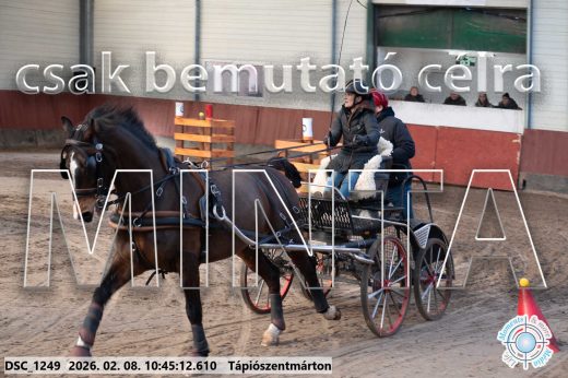 Mintakép 20260208-16