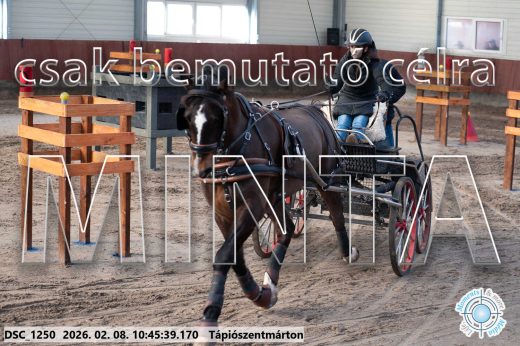 Mintakép 20260208-17