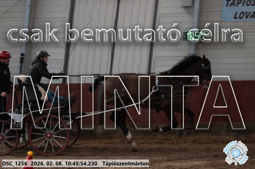 Mintakép 20260208-21