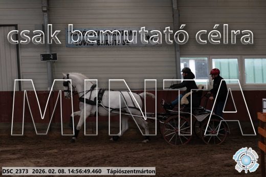 Mintakép 20260208-23