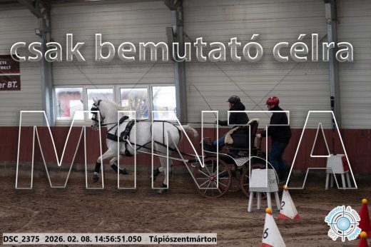 Mintakép 20260208-25