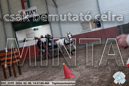 Mintakép 20260208-29