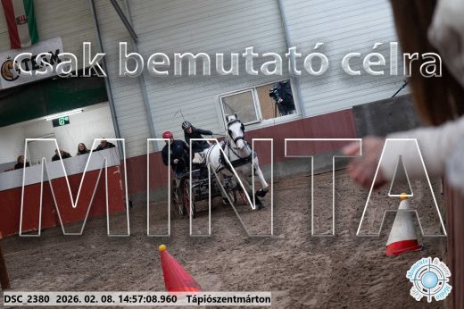 Mintakép 20260208-30