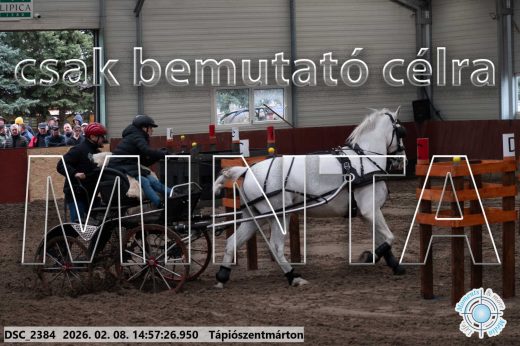 Mintakép 20260208-33