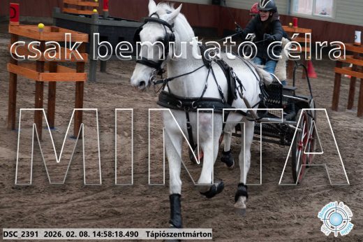 Mintakép 20260208-39