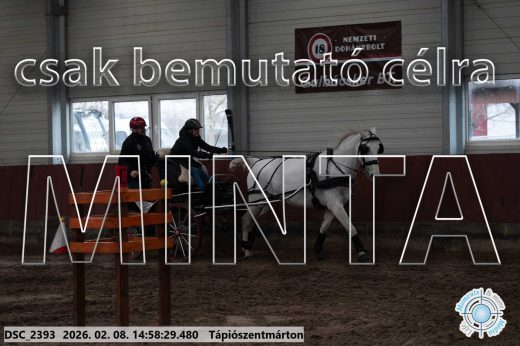 Mintakép 20260208-41