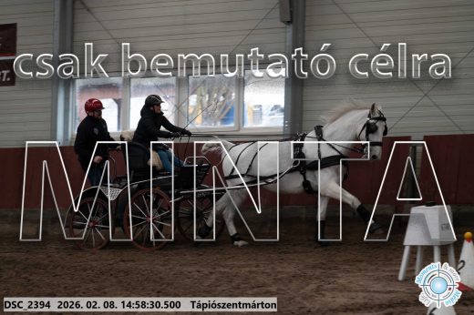 Mintakép 20260208-42