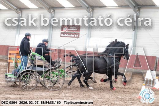 Mintakép 20260207-50