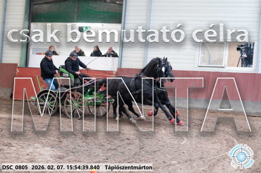 Mintakép 20260207-51