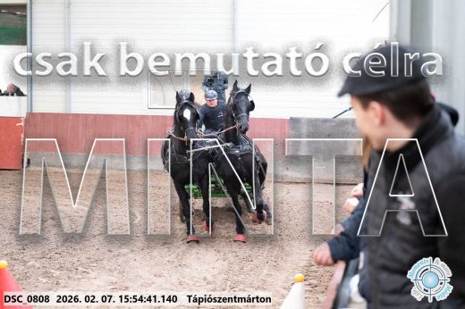 Mintakép 20260207-54