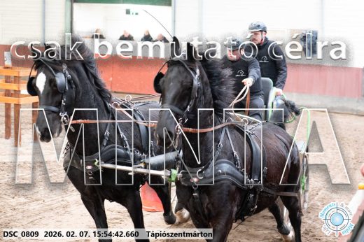 Mintakép 20260207-55