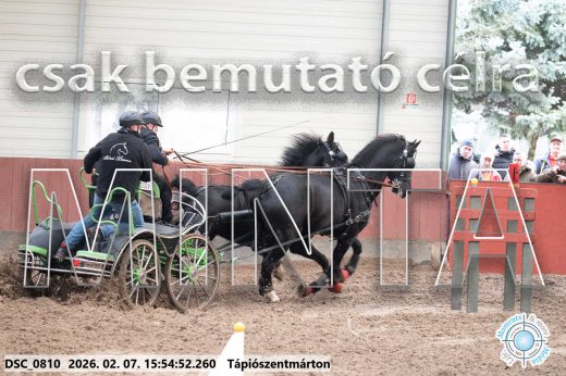 Mintakép 20260207-56