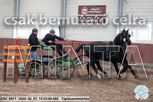 Mintakép 20260207-57