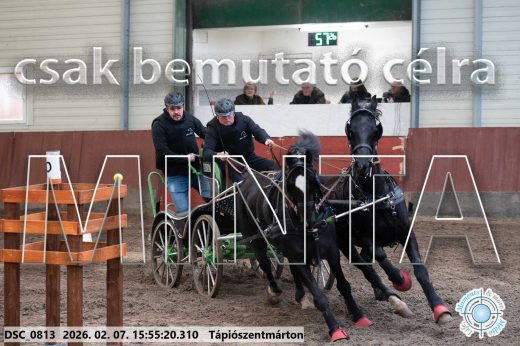 Mintakép 20260207-59