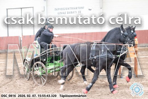 Mintakép 20260207-62