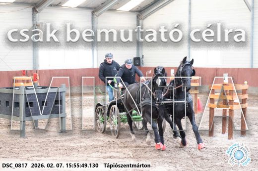Mintakép 20260207-63