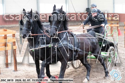 Mintakép 20260207-65