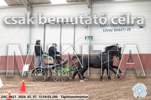 Mintakép 20260207-66